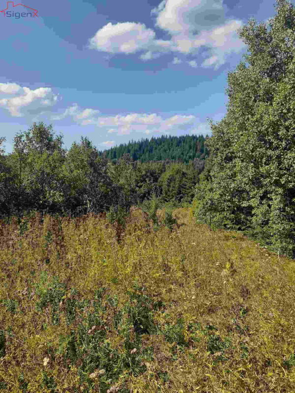 Ilijaš, Bijambare, 39.808m2.
