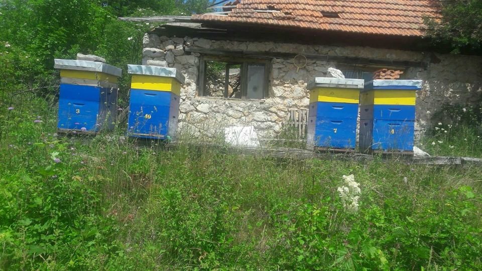 Prodajem zemljište u Palama, Gornji Pribanj. Površina 7.526m2. Sa devastiranom kućom 35m2 i temeljima pomoćnog objekta. Mogućnost priključka struje i vode na parceli. Prilaz sa dva puta. Parcele 1767 i 1768, Gornji Pribanj, Pale, Istočno Sarajevo, KO Ljub