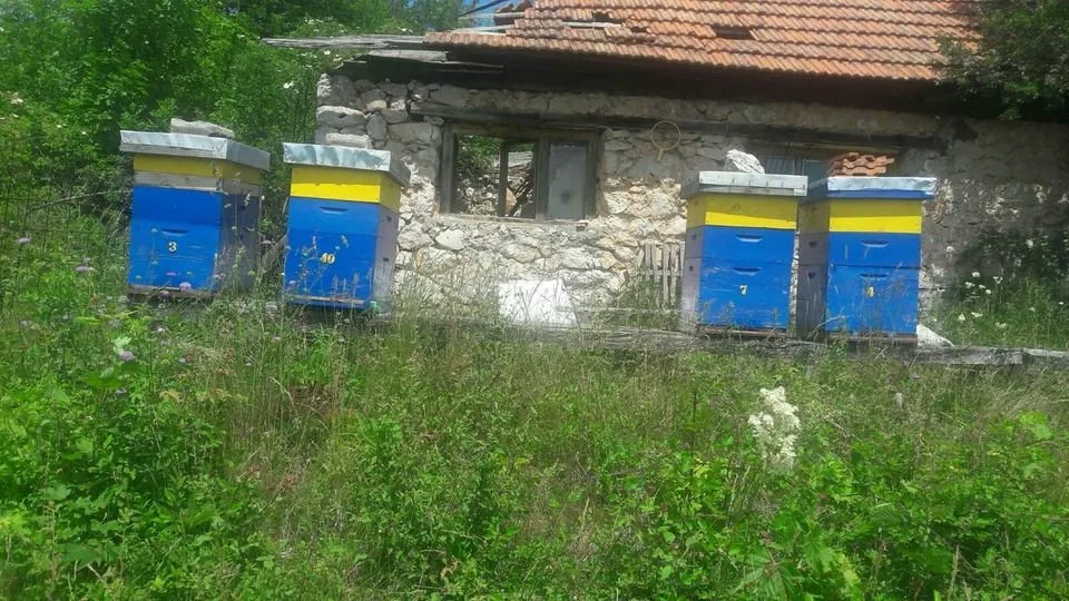 Prodajem zemljište u Palama, Gornji Pribanj. Površina 7.526m2. Sa devastiranom kućom 35m2 i temeljima pomoćnog objekta. Mogućnost priključka struje i vode na parceli. Prilaz sa dva puta. Parcele 1767 i 1768, Gornji Pribanj, Pale, Istočno Sarajevo, KO Ljub