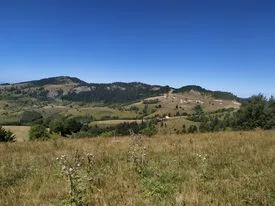 Crepoljsko, 300 dunuma.
