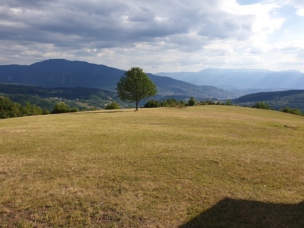 Gornje Biosko, 15.000m2, drvena brvnara, izuzetna lokacija i pogled na cijeli grad.