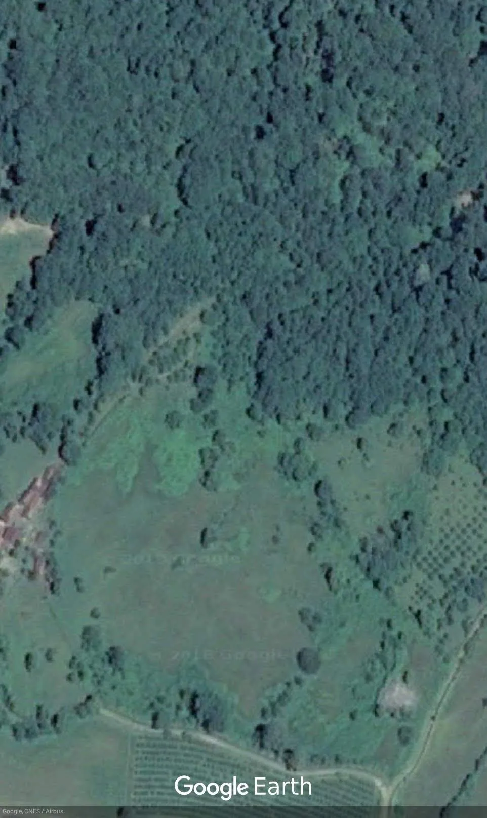 Podgradci, Resanovci, stara kuća, podrum, šuma, voćnjaci, 3 izvora, potok, 112.000m2, park Kozara, granica, autocesta, turizam, legalizirano, 150.000€.
